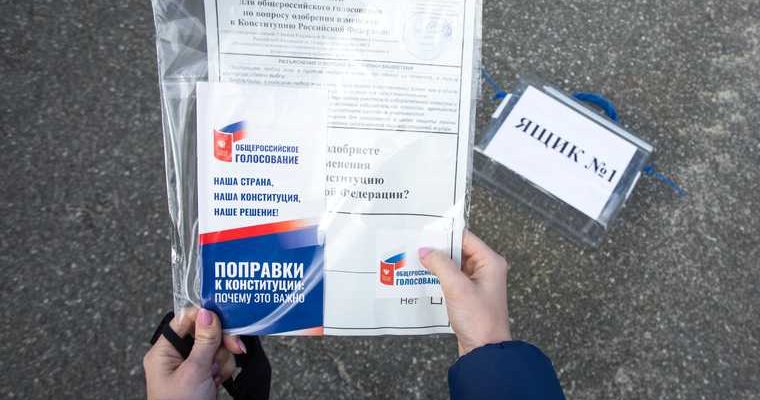 голосование конституция поддержали