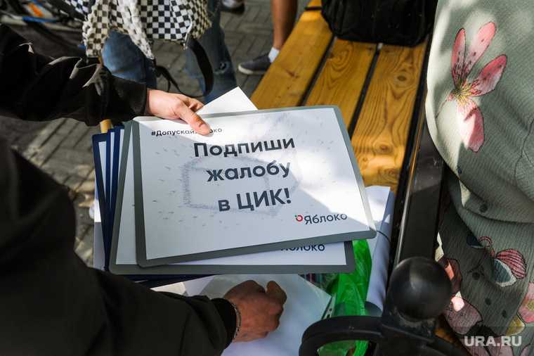 Сбор подписей партией Яблоко для жалобы в ЦИК. Челябинск