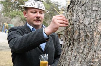 Гусар Ширшиков ограничение свободы не отмечался полиции