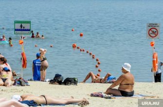 купаться в августе