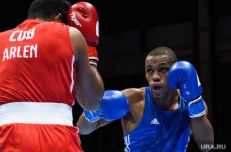 Мишустин разрешил въезд части иностранцев