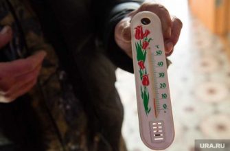 Вильфанд о погоде