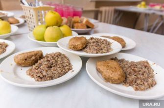 Школьников Ямальского района будут кормить бесплатно