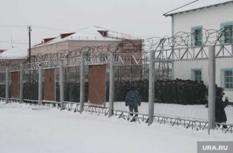 бизнесмен Виктор Палий преступление наказание помилование