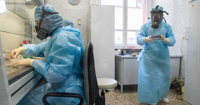 коронавирус мутация опасность мутирует Россия