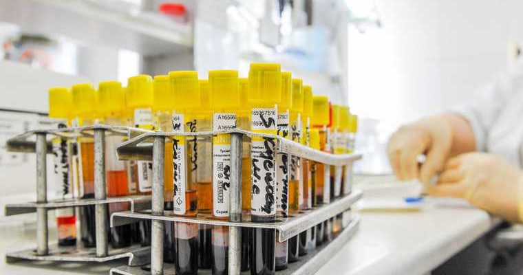 Челябинская область коронавирус COVID заражения умерли 14 сентября
