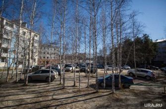 МУГИСО база нелегальные праковки Украденный Екатеринбург