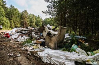 Михаил Михеев глава Мужевского муниципального образования