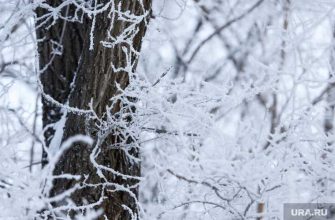 погода в Кургане