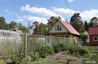 коронавирус