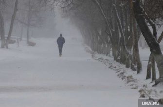 первые снегопады