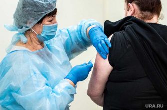 дистанционное обучение студенты