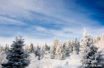 ЯНАО перепады температуры