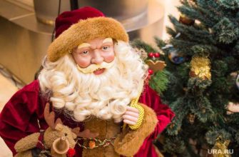 в нидерландах уничтожают книги