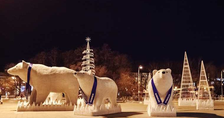 белые медведи