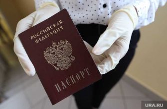 электронные паспорта в России