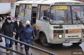 стоимость проезда Курган