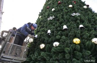 Челябинск елка главы города отмена Наталья Котова
