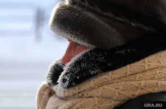 Погода в Курганской области