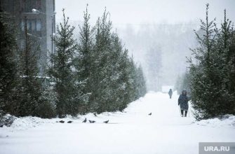 хмао погода январь 2021