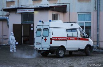 коронавирус Курган