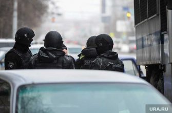 полиция проверка по факту драки Александровская дума