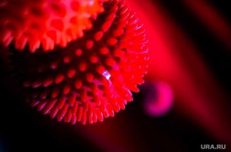 исследования ученых