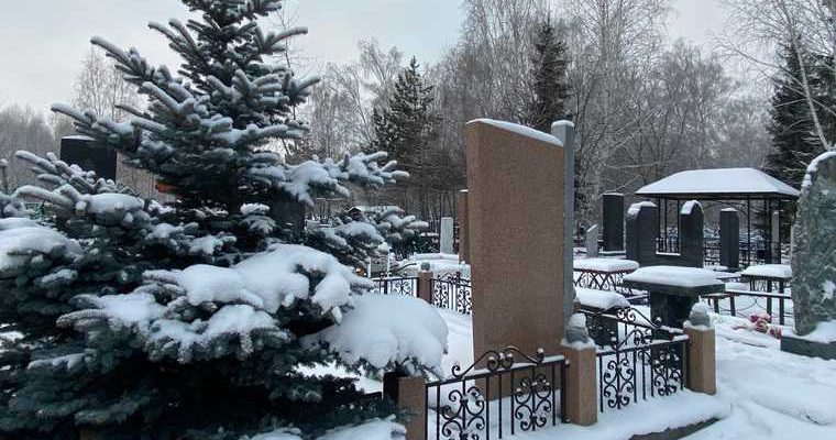 статистика Курганская область