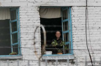 Блогер собрался в областную думу &mdash; два депутата планируют занять зарплатную ставку в облдуме &mdash; самозанятым сократили субсидии &mdash; колонии региона будут проверять. Все самые интересные и важные новости Тюменской области к утру 19 февраля &mdash; в обзоре URA.RU: