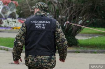 перестрелка в веденском районе чечни