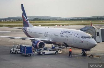 животное багаж