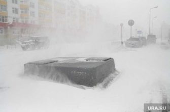 ЯНАО погода 15 февраля