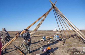 ЯНАО КМНС проблемы