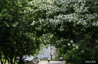 потеплеет на урале метео прогноз