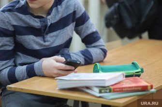 образование новости