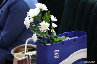 выборы в госдуму