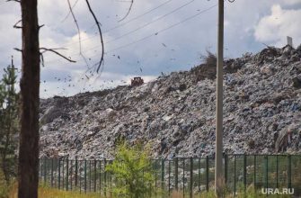 территориальная схема размещения отходов Курганская область