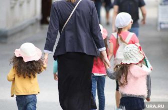 Выплаты семья льготы пособия нечаев коломейцев госдума министр экономики