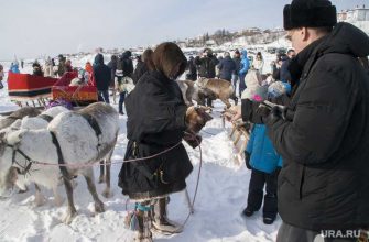 Организатору митингов в тундре прислали предупреждение от полиции