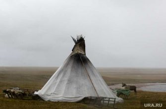 Педагоги ЯНАО выступили против проекта властей