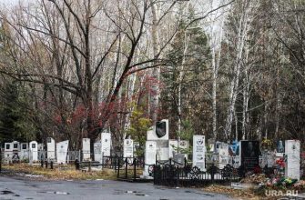 статистика Курганская область