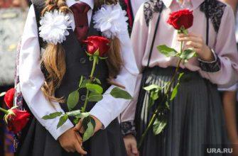 Образование школа школьники ученики