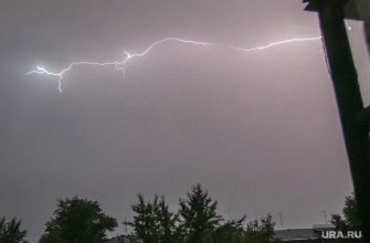 погода в Москве