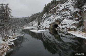 платный вход в леса природные парки указ губернатора Свердловская область