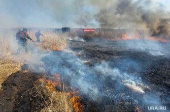 лесные пожары тюменская область