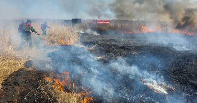 лесные пожары тюменская область