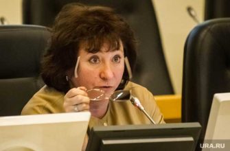 праймериз Единой России