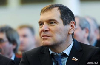 Челябинская область Барышев Родина Смышляев Единая Россия выборы в Госдуму