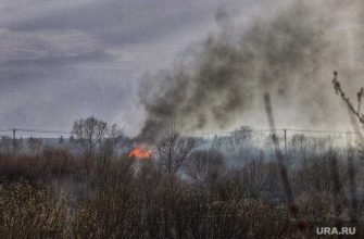 пожар Курганская область