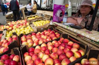 Екатеринбург продовольственная база владельцы подробности